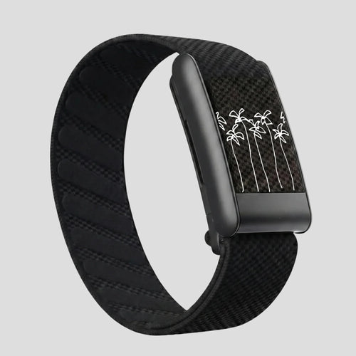 No winter zone black