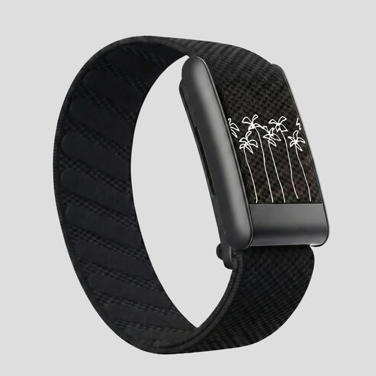 No winter zone black